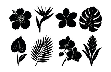 Tropical floral silhouettes icons set – hibiscus, palm, orchid, monstera, anthurium, bird of paradise. Vector icons set