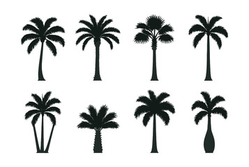 Palm tree silhouette icons set – tropical, nature, exotic, shadows, dark, simple. Vector icons set