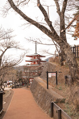 Arakurayama Sengen Shrine Pagoda
