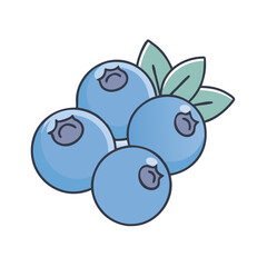 Fresh blueberries illustration healthy food antioxidant rich fruit summer harvest berry drawing
