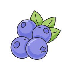 Illustration of fresh blueberries with leaves healthy food antioxidant rich superfood diet berry