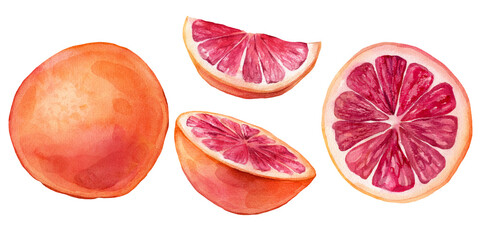 Set of slice and whole grapefruit. Hand drawn watercolor illustration of orange red tropical citrus. Food on white isolated background. Drawing of citrus