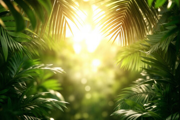 Naklejka premium Sunlight filtering through lush green jungle foliage