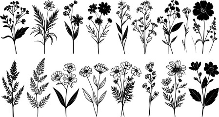 Elegant Flower Bouquet vector illustration. Different wildflowers hand drawn black on white background. Floral decoration silhouette.