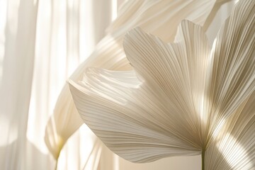 Delicate, light beige palm leaves illuminated by sunlight.