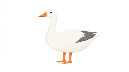 Simple illustration of a white goose with orange feet and beak, isolated on a white background