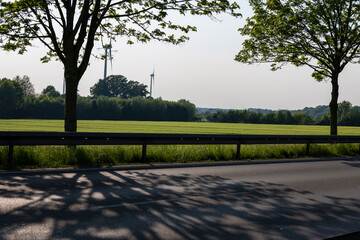 Obraz premium trees in the park