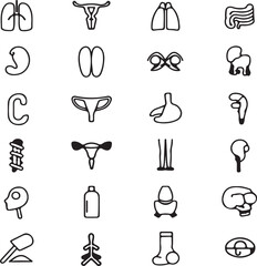 Human Anatomy Line Icons Set, 20 Simple Medical and Health Symbols in Stroke Vector