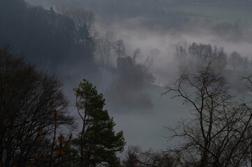 Obraz premium Morning fog in the nature forest with misty clouds in spring.