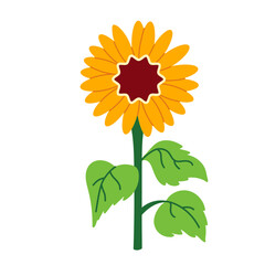 Simple vector flower illustration on transparent background