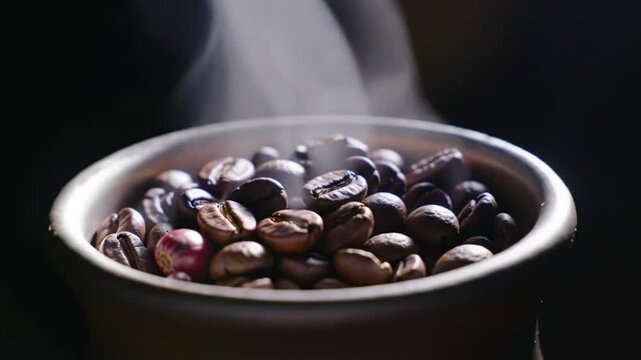 Time lapse of coffee beans growing, becoming coffee beans that melt into coffee, highlighting the pure taste of coffee. This video is perfect for promoting a coffee brand.  Generative AI.