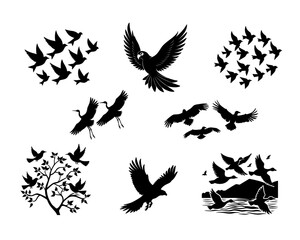 Flying Bird Silhouette Vector Set Isolated on White