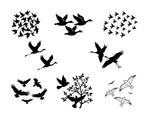 Flying Bird Silhouette Vector Set Isolated on White