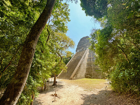 Temple V at Tikal, Guatemala &ndash; Ancient Mayan Pyramid in the Jungle