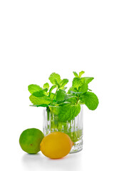 Fresh mint leaves in a glass with lemon and lime on white background. Healthy ingredients for mojito or detox drink.