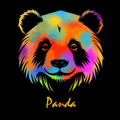 Panda colored head on black background. hand drawing. Not AI, Vector illustration