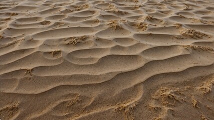 sand texture