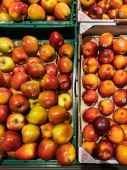 Fresh Apples Displayed in Grocery Store Bins