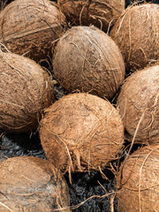 Coconut Coir Products for Eco-Friendly Gardening Applications