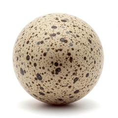 A speckled egg with brown spots on a white background is presented in a studio shot closeup view