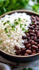 A delicious and healthy bowl featu fluffy white rice and flavorful red beans, garnished with fresh parsley, creating an appetizing and balanced meal option.