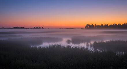 Fototapeta premium Serene Marshland Under Misty Dawn Light With Pastel Skies And Grassy Plains