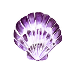 Shell in purple tones, hand-painted in watercolor style. Decorative marine element isolated on white background.