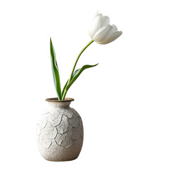 white tulip in a textured vase on wooden table on transparent background png