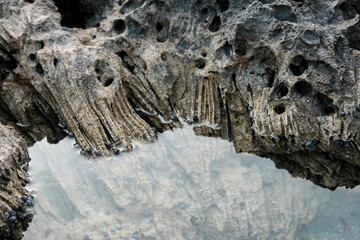 ancient coral reef fossilized along the shore of the Caribbean Sea. weathered and eroded coastal rock formations with texture and depth abstract geological and marine background