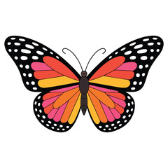 Colorful Butterfly Illustration A Vibrant Display of Nature's Artistry in a Simple and Elegant Design