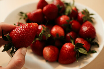 Close-up of a hand holding a ripe, fresh strawberry above a bowl full of strawberries, highlighting the texture, vibrant red color, and natural freshness of the fruit.