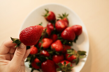 Close-up of a hand holding a ripe, fresh strawberry above a bowl full of strawberries, highlighting the texture, vibrant red color, and natural freshness of the fruit.