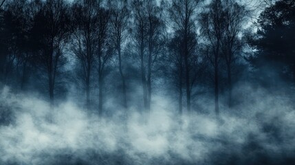 Naklejka premium Misty Forest at Dawn with Shadowy Trees and Soft Fog Covering the Ground