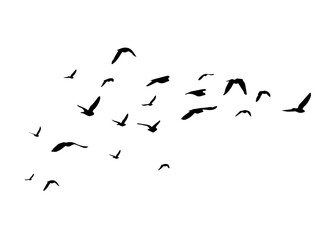 Flying birds silhouette flock. hand drawing. Not AI. Vector illustration.
