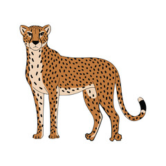 Elegant Cheetah Illustration Standing Tall Against a White Backdrop A Captivating Wildlife Art Piece for Design