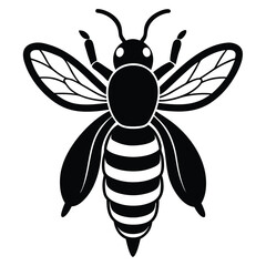 bee and flower