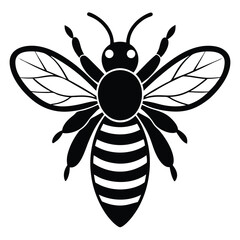 bee on white background