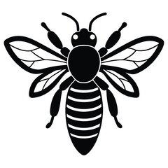 bee on white background