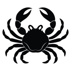 crab isolated on white background