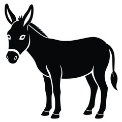 donkey isolated on white