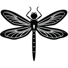 butterfly vector  illustration