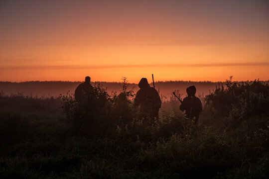 Group of hunters with shotguns going through rural field towards forest during sunset with orange sky and forest on horizon 
