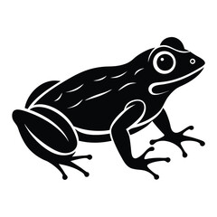 frog on a white background