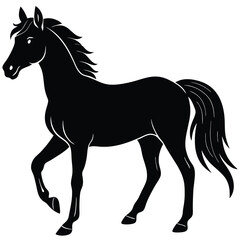 black horse vector illustration