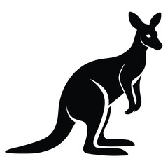 kangaroo vector illustration