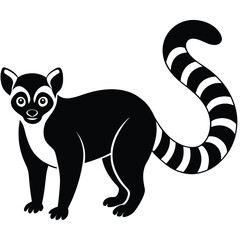 black and white panda