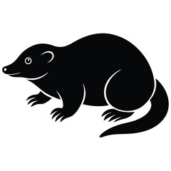 vector illustration of a black and white shark