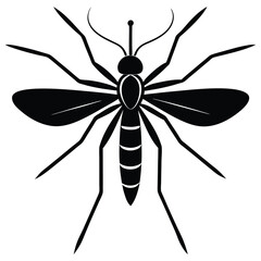 black spider vector illustration