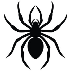 Obraz premium vector of a spider