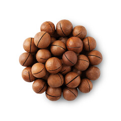 Macadamia nuts isolated on white background